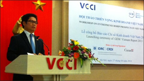 Во Вьетнаме обнародован доклад о предпринимательском индексе 2013 года - ảnh 1